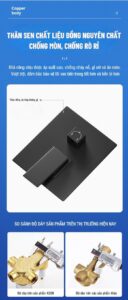 Sen tam am tuong KS09 6