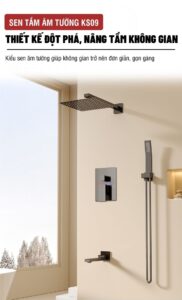 Sen tam am tuong KS09T 1