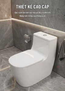 Bồn cầu KC810